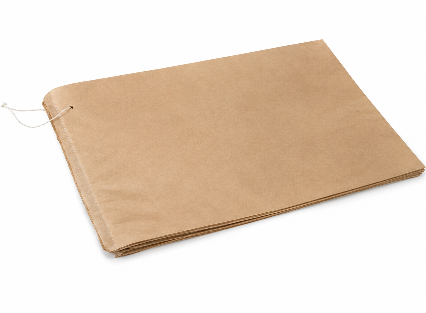 12 Long Brown Paper Bags