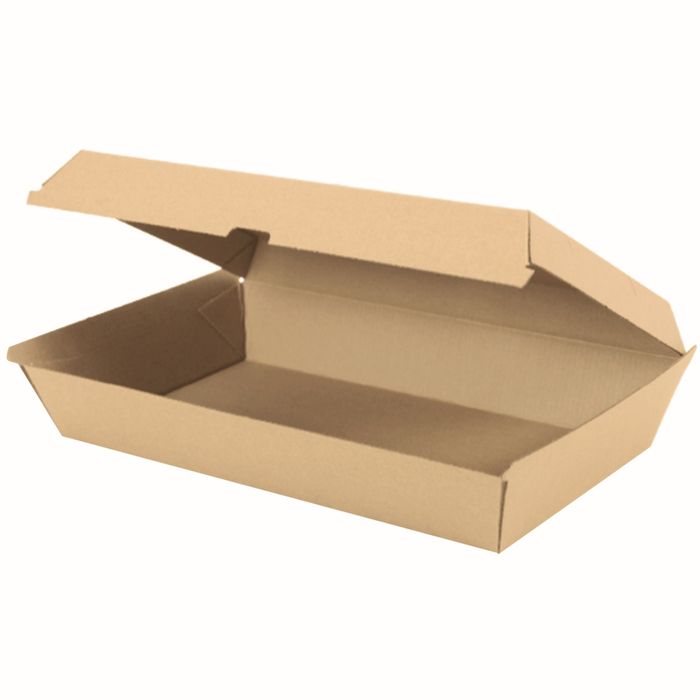 Family Pack Corrugated BM 100s