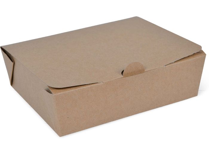 Detpak Take-Away Box Large 300