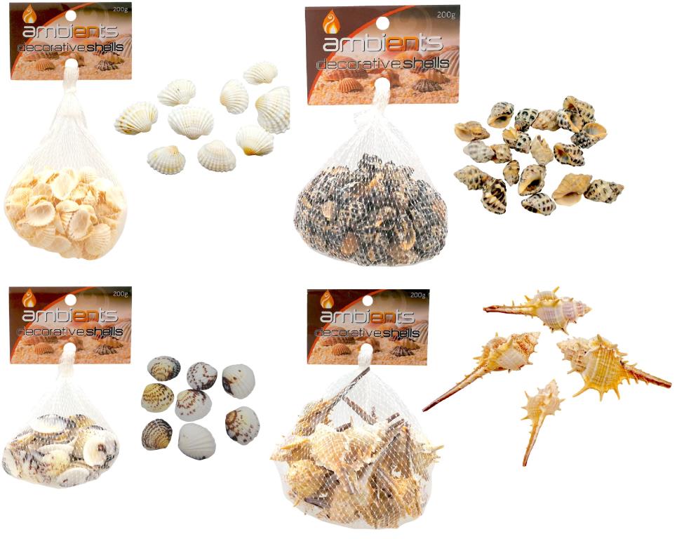 Decorative Shells-210G