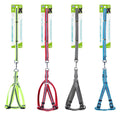 Reflective Series Dog Lead & Harness Set