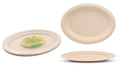 ECO Biodegradable Catering Plates - Oval 26.3CM X 19.9CM-10PK