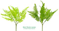 Decorative Artificial Flowers - 46CM Persian Leaves