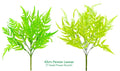 Decorative Artificial Flowers - 42CM Persian Leaves