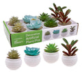 Small potted artificial succulents in assorted designs, 10cm tall, for desk and shelf decor
