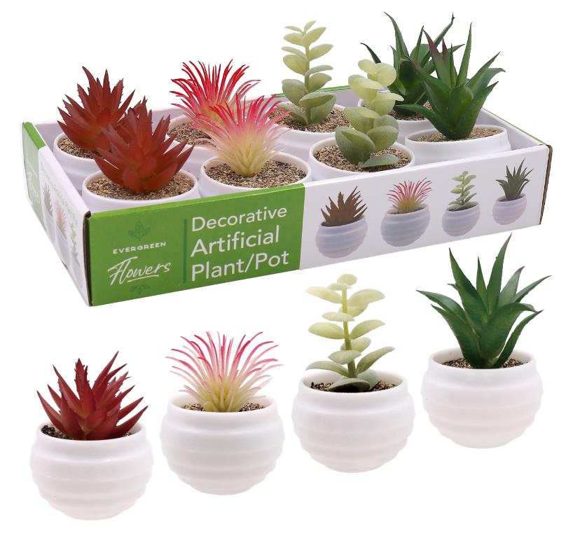 Small potted fake succulents in assorted designs, 10cm tall, for shelf and counter decor
