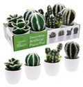 Potted artificial cactus in assorted designs, 13cm tall, for desk, shelf and counter decor