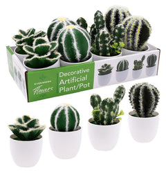 Artificial Decorative Cactus (DISPLAY BOX)
