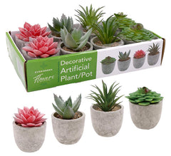 Artificial Decorative Succulent Pulp Pot (DISPLAY BOX) - SERIES 1