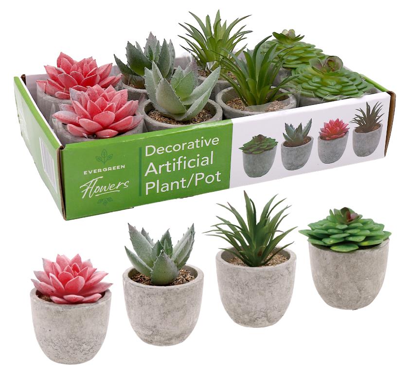 Artificial potted succulent in a pulp pot, 13cm tall, assorted designs, for desk and shelf decor