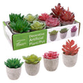 Faux succulent set in a natural pulp pot, 13cm tall, assorted Series 2 designs, for decor