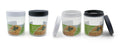 Clear 600ml plastic screw top storage container with lid, 9x9x11.5cm, filled with coffee beans on pantry shelf