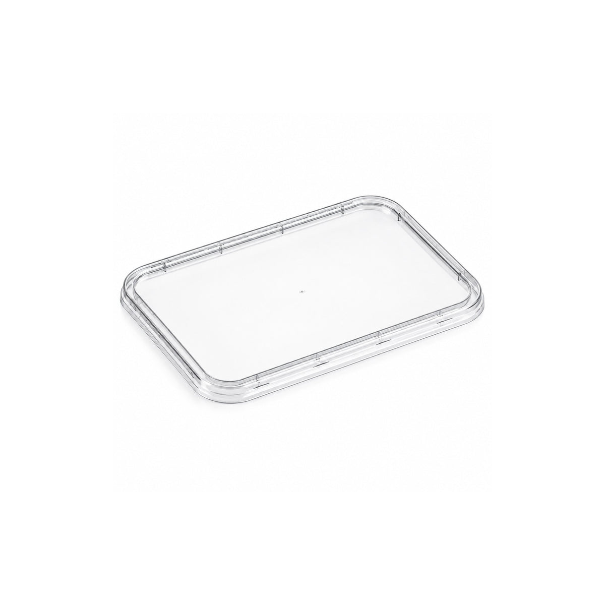 Container lids, clear rectangular Genfac lid on a white background