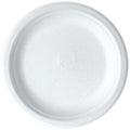 7" ECO Plate Detpak 1000's