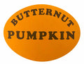 Butternut Pumpkin  1000pcs
