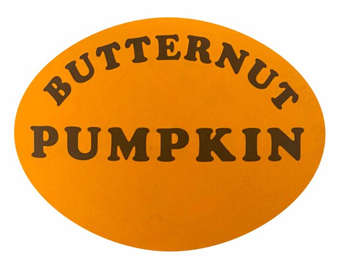 Butternut Pumpkin  1000pcs