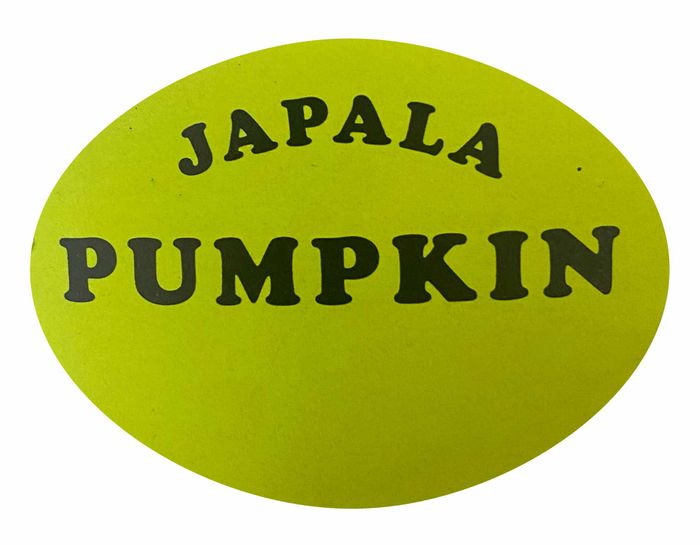 JAPALA Pumpkin 1000pcs