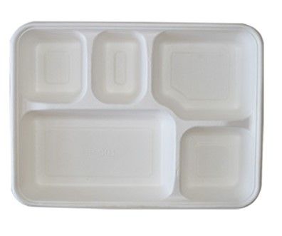 Sugarcane 5 Compartment Tray