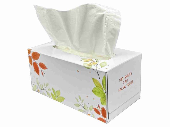 Facial Tissue 180 x 24 box PV