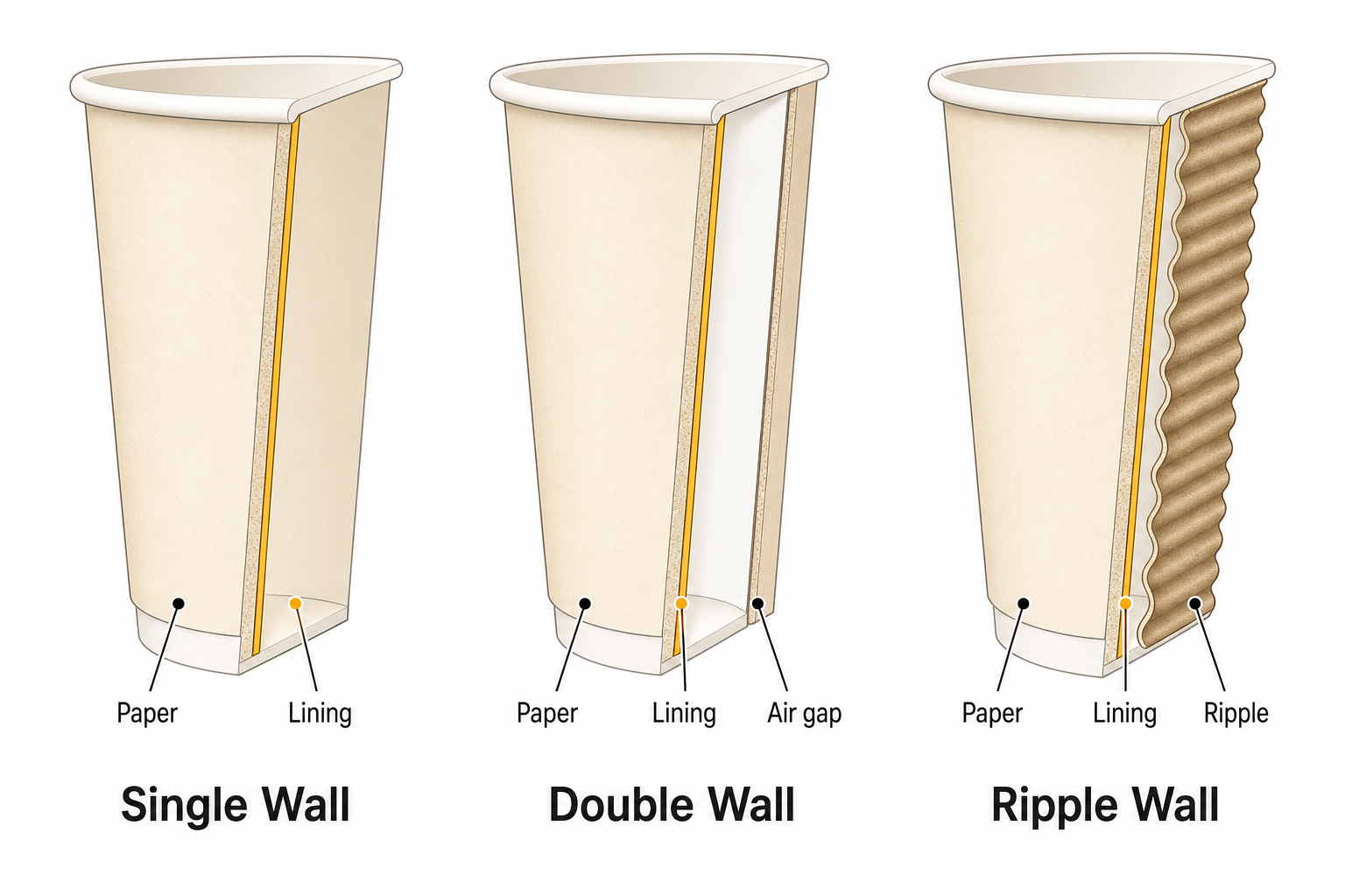 Cross-section diagram showing construction of single wall, double wall, and ripple wall disposable coffee cups